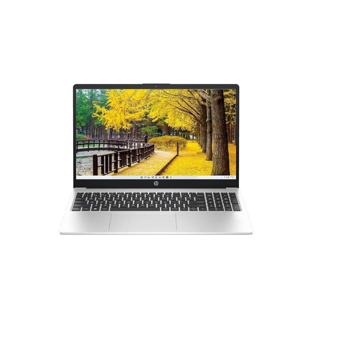 HP 255 G10 AMD Ryzen